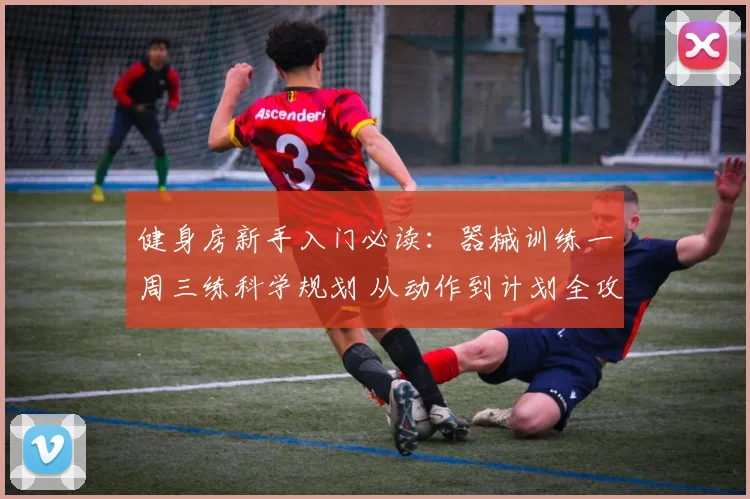 健身房新手入门必读:器械训练一周三练科学规划 从动作到计划全攻略