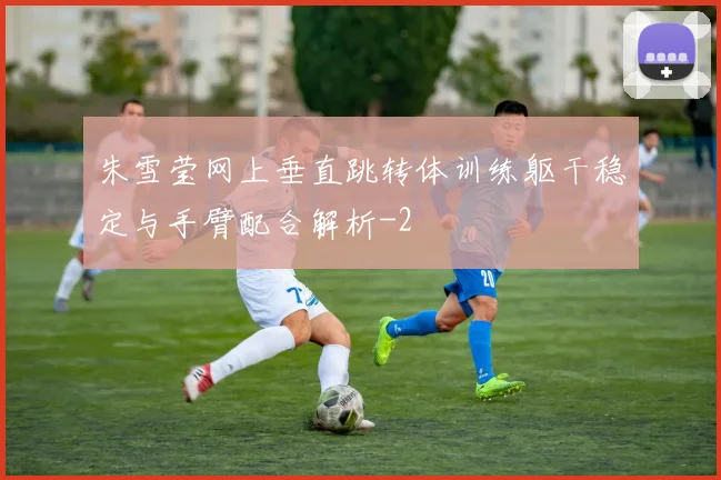 朱雪莹网上垂直跳转体训练躯干稳定与手臂配合解析