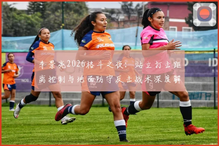 李景亮2026格斗之夜：站立打击距离控制与地面防守反击战术深度解析