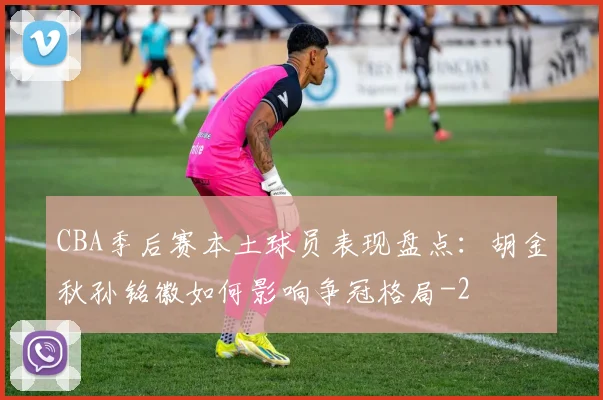 CBA季后赛本土球员表现盘点：胡金秋孙铭徽如何影响争冠格局