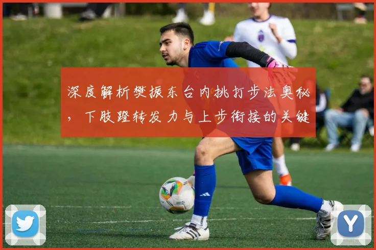 深度解析樊振东台内挑打步法奥秘，下肢蹬转发力与上步衔接的关键细节