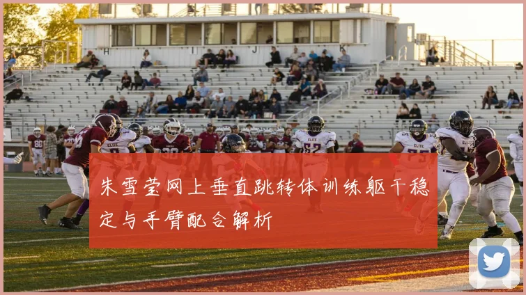 朱雪莹网上垂直跳转体训练躯干稳定与手臂配合解析
