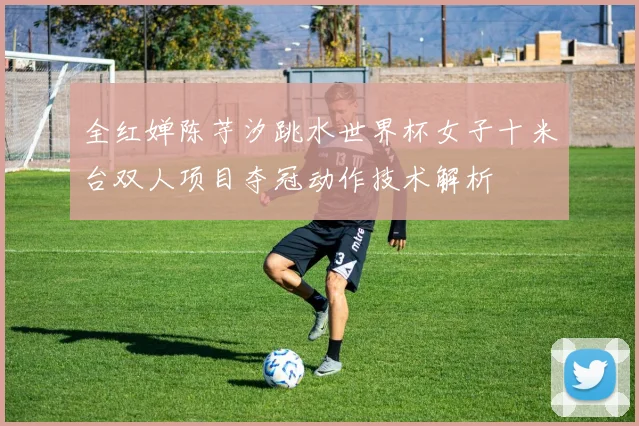 全红婵陈芋汐跳水世界杯女子十米台双人项目夺冠动作技术解析