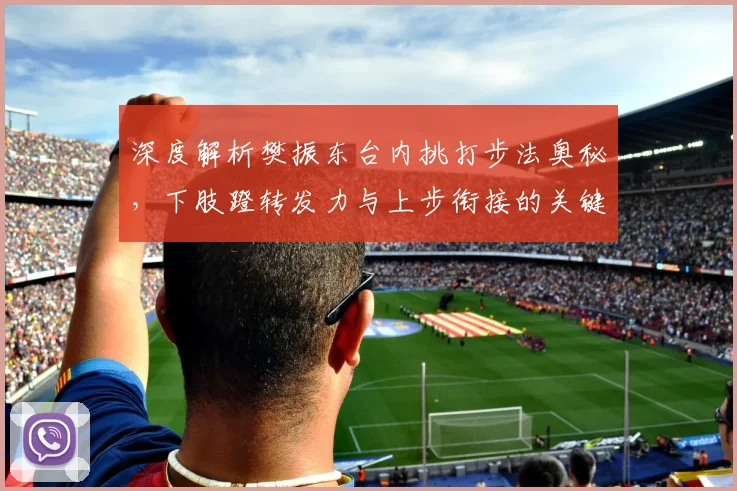 深度解析樊振东台内挑打步法奥秘，下肢蹬转发力与上步衔接的关键细节