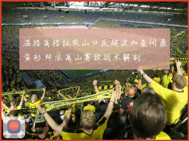 温格高格拉农山口反超波加查问鼎黄衫 环法高山赛段战术解剖