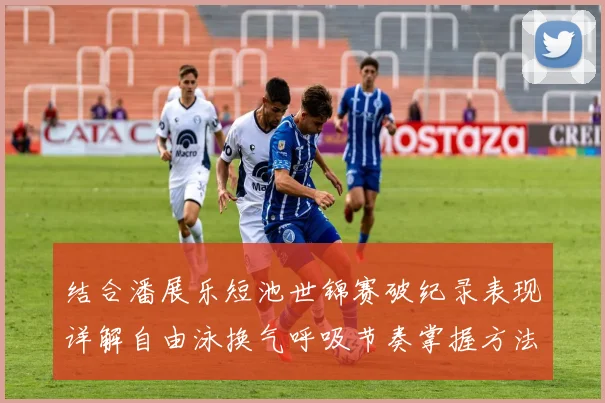 结合潘展乐短池世锦赛破纪录表现详解自由泳换气呼吸节奏掌握方法